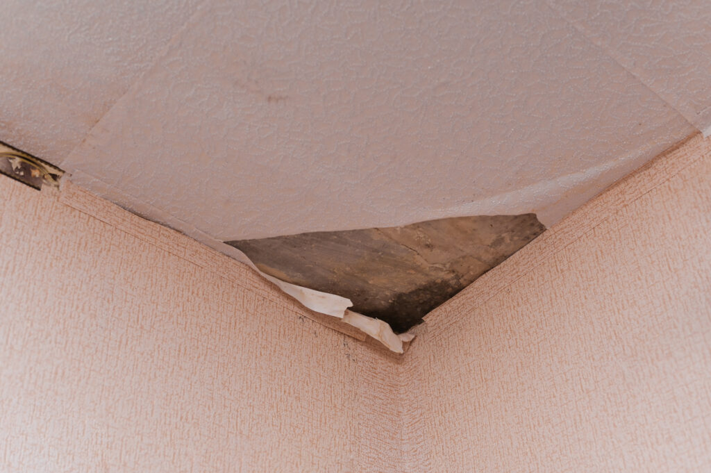 Water damage remediation services
