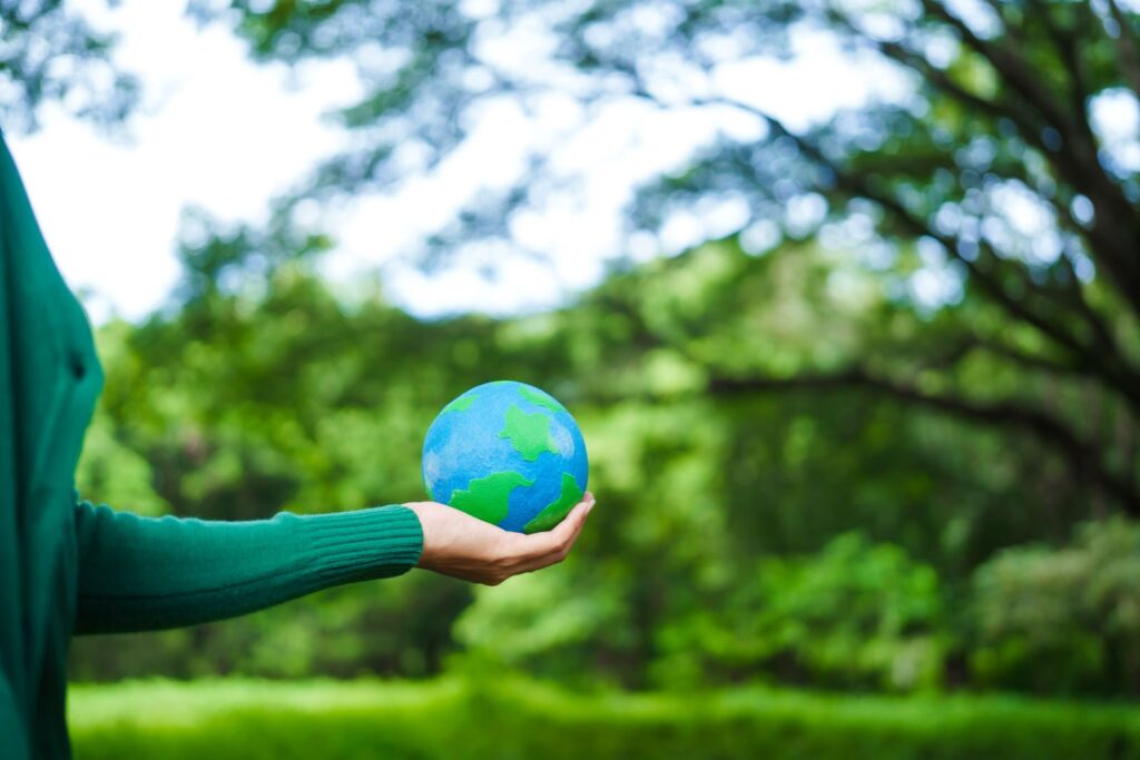 Drywall Contractor San Diego | (619) 806-2169 | Eco-Friendly Drywall Repair Solutions for Sustainability-Minded Homeowners in San Diego drywall repair
